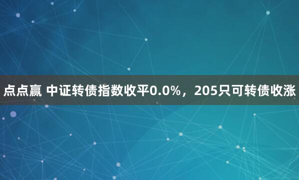 点点赢 中证转债指数收平0.0%，205只可转债收涨