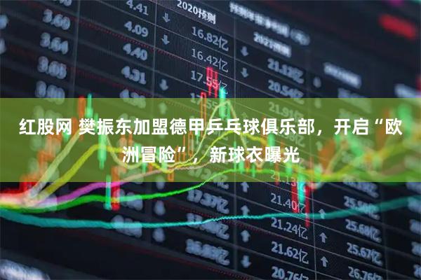 红股网 樊振东加盟德甲乒乓球俱乐部，开启“欧洲冒险”，新球衣曝光
