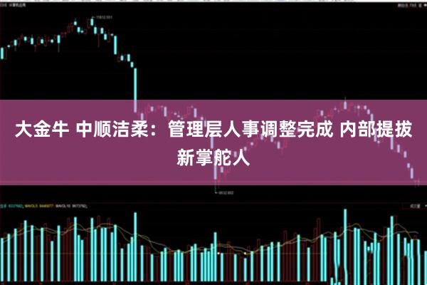 大金牛 中顺洁柔：管理层人事调整完成 内部提拔新掌舵人